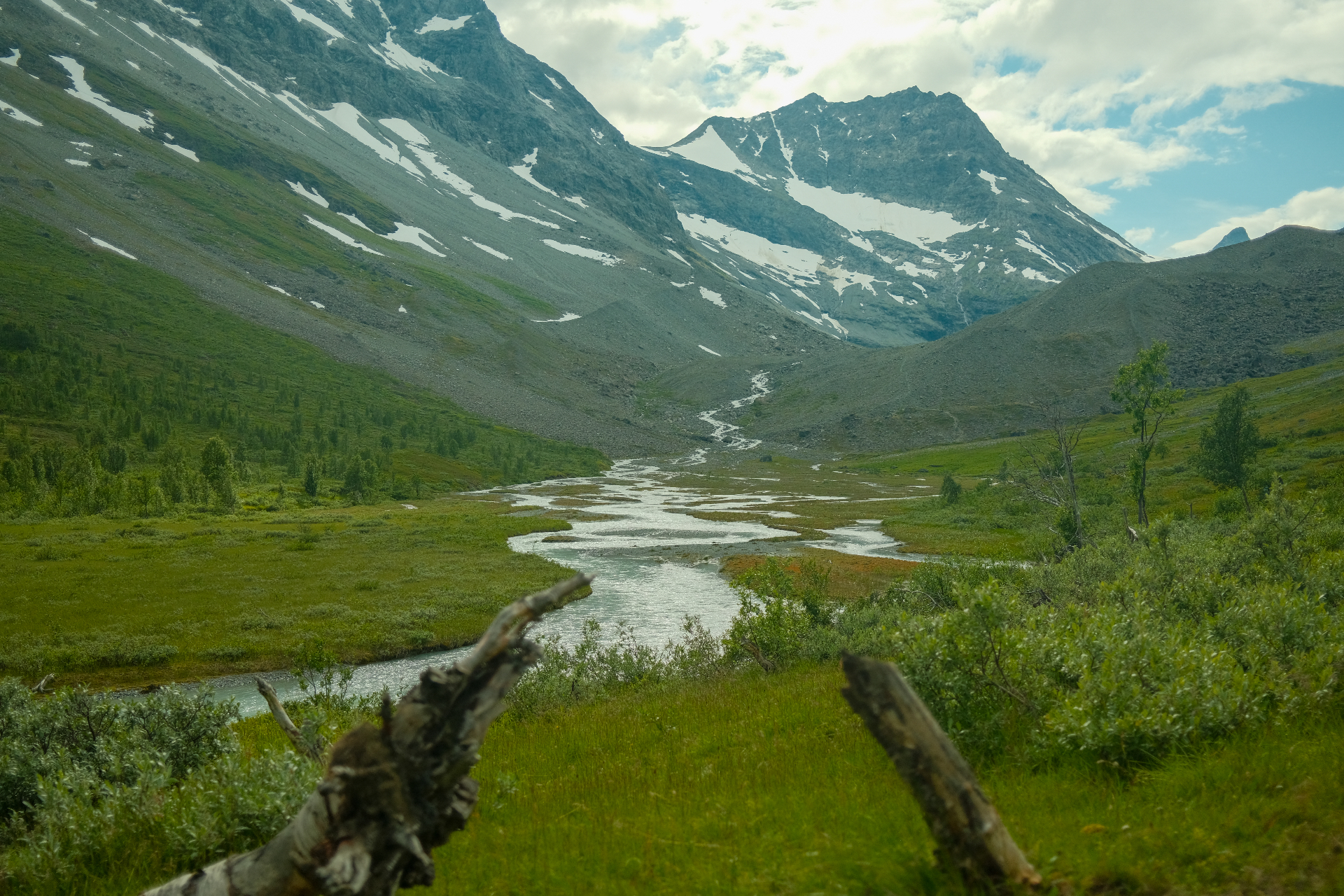 Braided river winding through a green Arctic valley beneath a snow-streaked summit