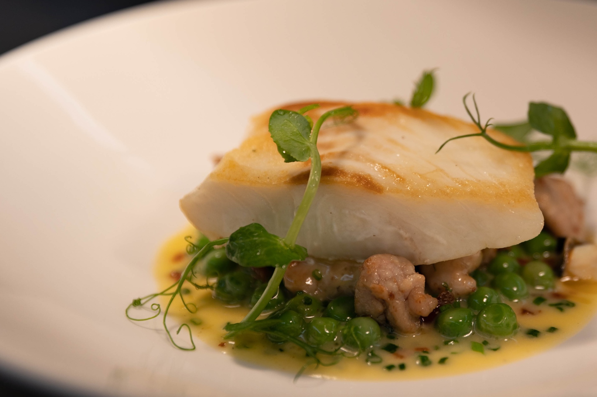 Pan-seared fish plated in the saloon