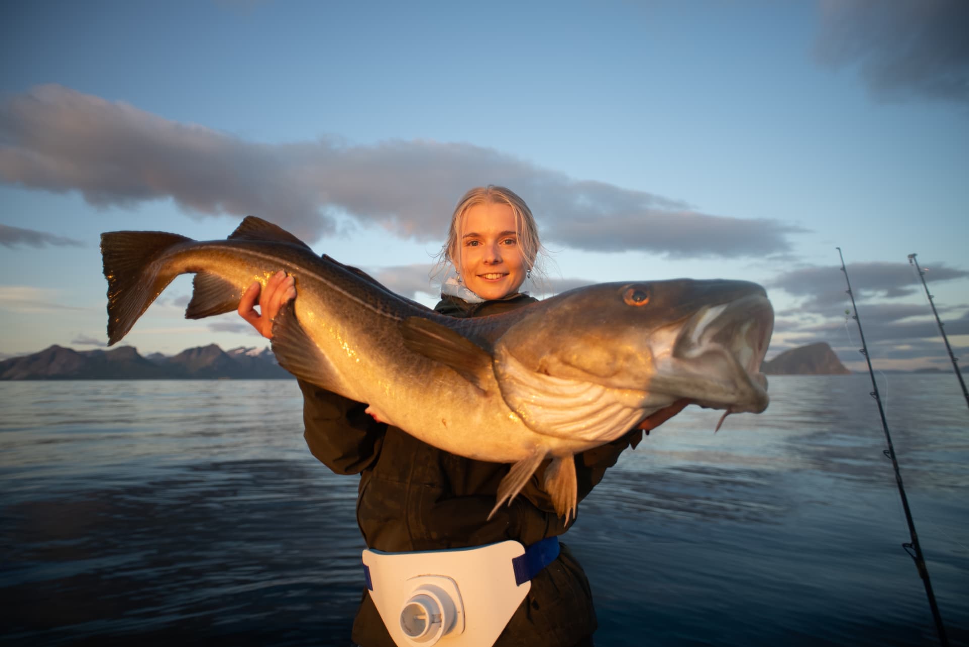 Guest holding a large cod over the fjord in the evening light